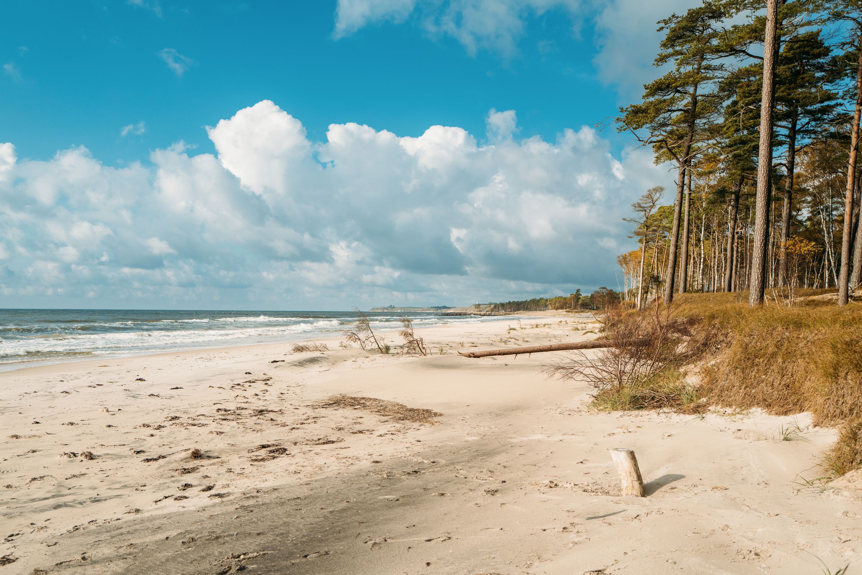 Hagestad Naturreservat in Ystad & Österlen, Südschweden