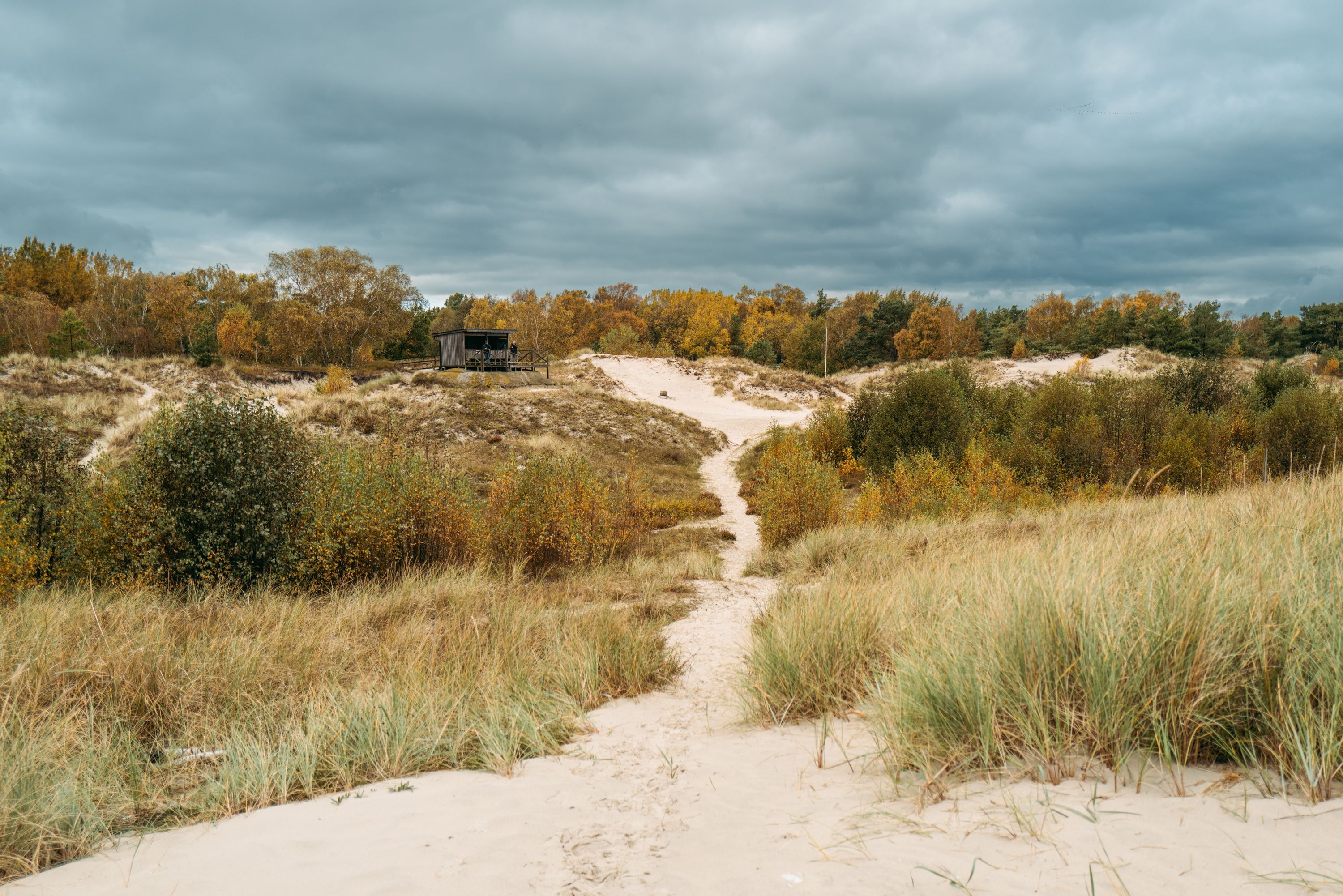 Sandhammarens naturreservat in Ystad & Österlen, Südschweden