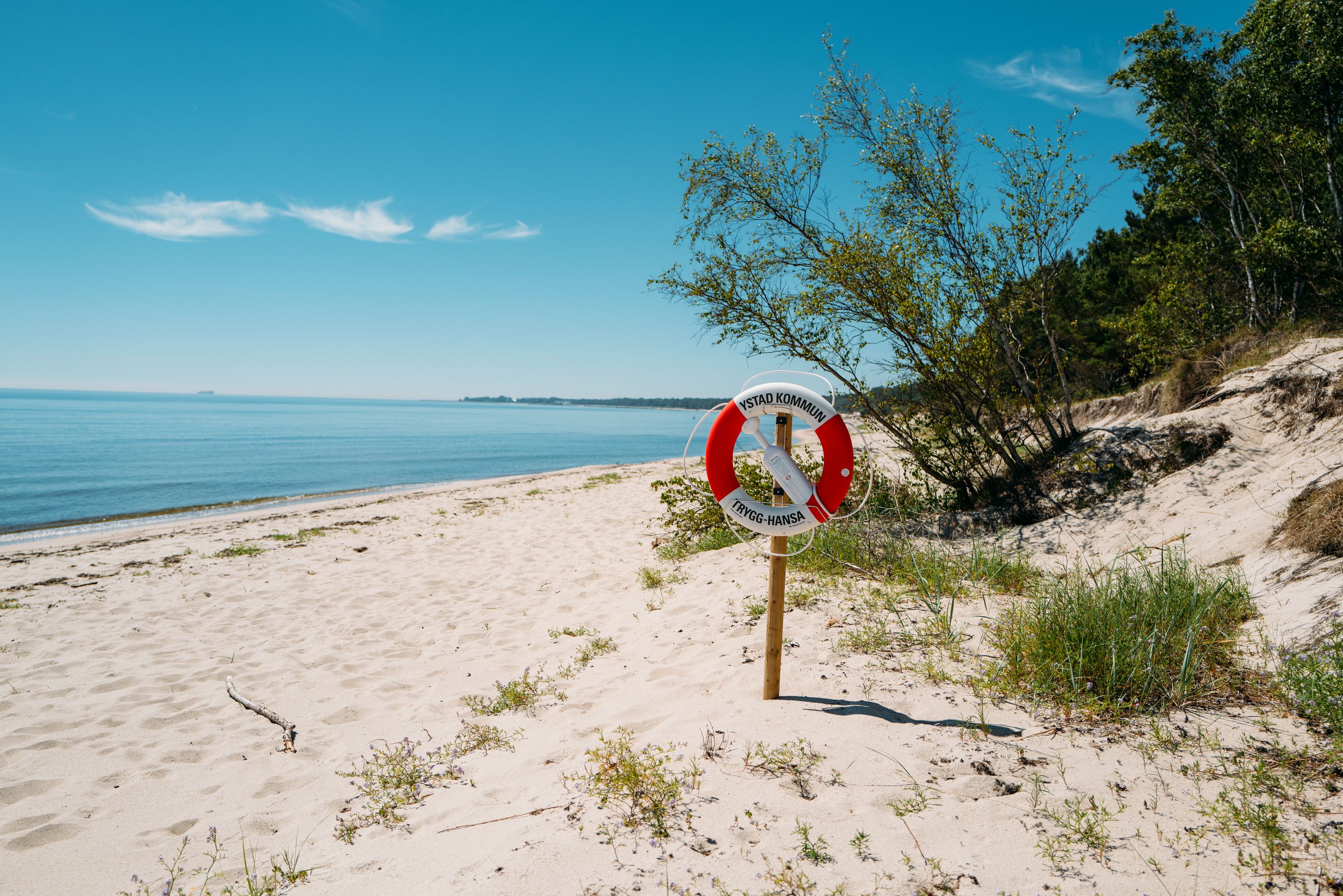 Ystads Sandskogen in Ystad & Österlen, Südschweden